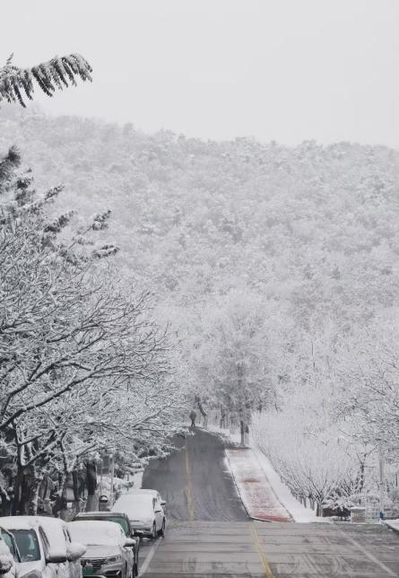 de676871c4494f526e2c7f685e331edd