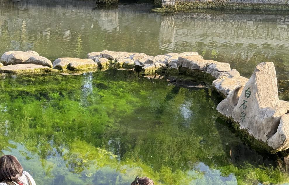 微信图片_20251217235624_1_595